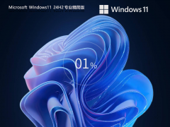 Windows11 24H2 64位 专业精简版镜像 Windows11 24H2 64位 专业精简版镜像