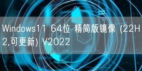 Windows11 64位 精简版镜像 (22H2,可更新) V2022 Windows11 64位 精简版镜像 (22H2,可更新) V2022
