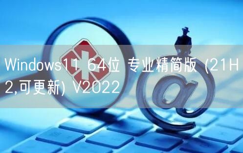 Windows11 64位 专业精简版 (21H2,可更新) V2022 Windows11 64位 专业精简版 (21H2,可更新) V2022