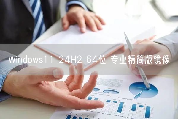 Windows11 24H2 64位 专业精简版镜像 Windows11 24H2 64位 专业精简版镜像