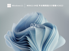 Windows11 64位 专业精简版 (21H2,可更新) V2022 Windows11 64位 专业精简版 (21H2,可更新) V2022
